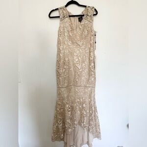 Adrianna Papell Women's Gardenia Guipure Long Dress with Trimming Details 8P